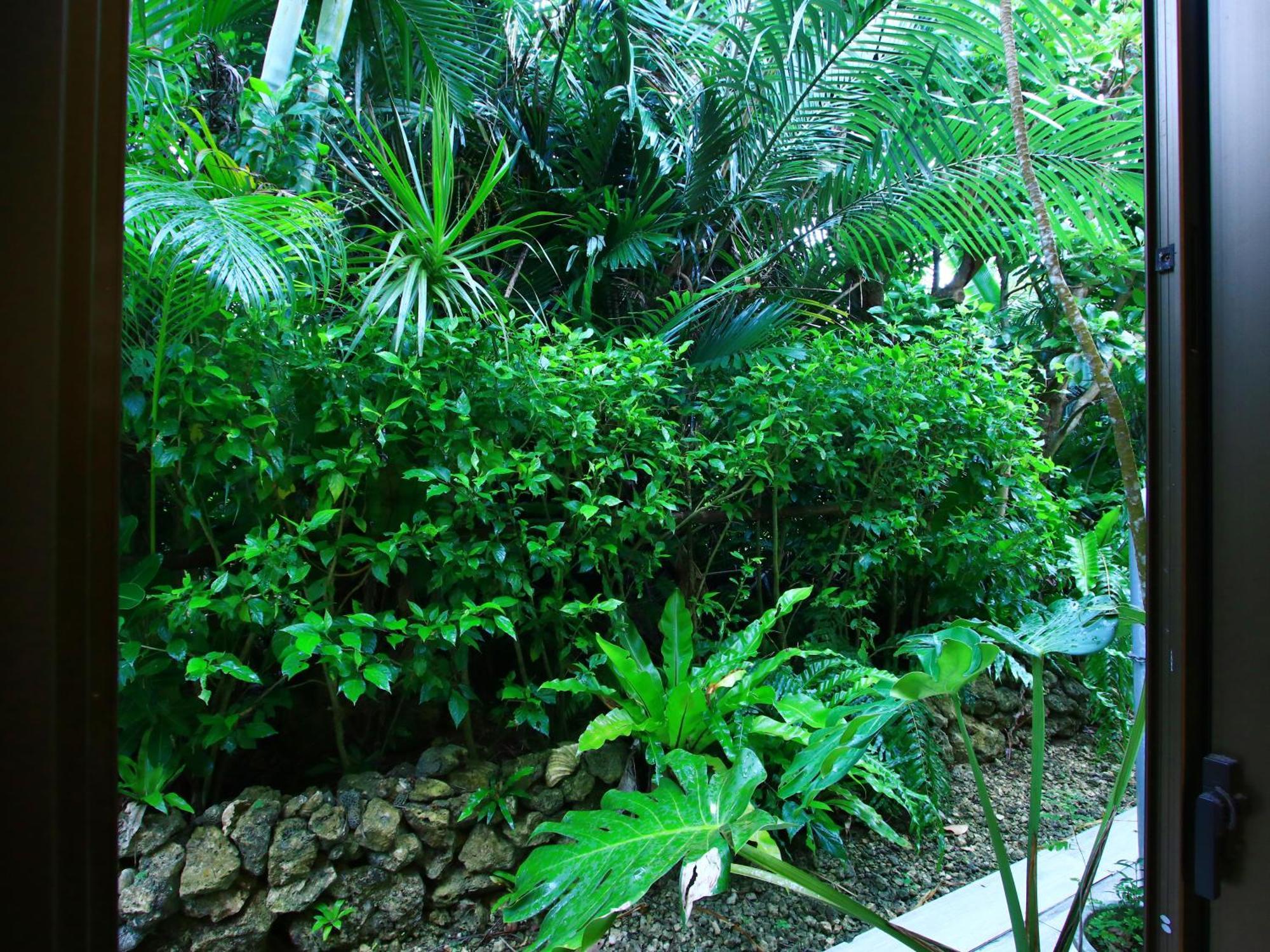 Villa Kachibai Ishigaki  Exterior foto